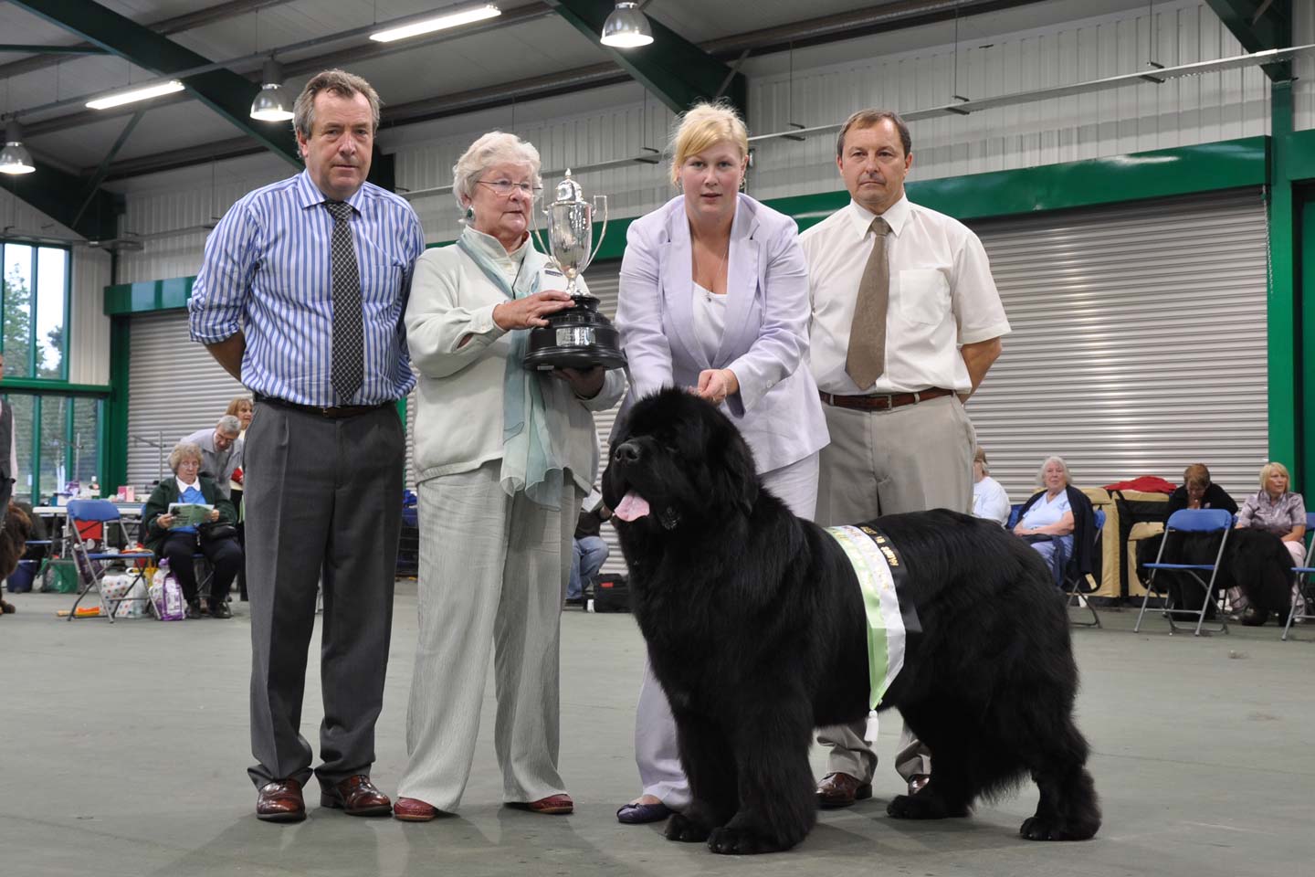 Photograph of the Best In Show winner, Shalowseas Spin Doctor