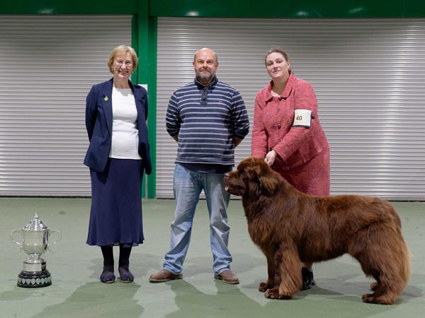 Best In Show at the 21 October 2023 Newfoundland Club Championship Show