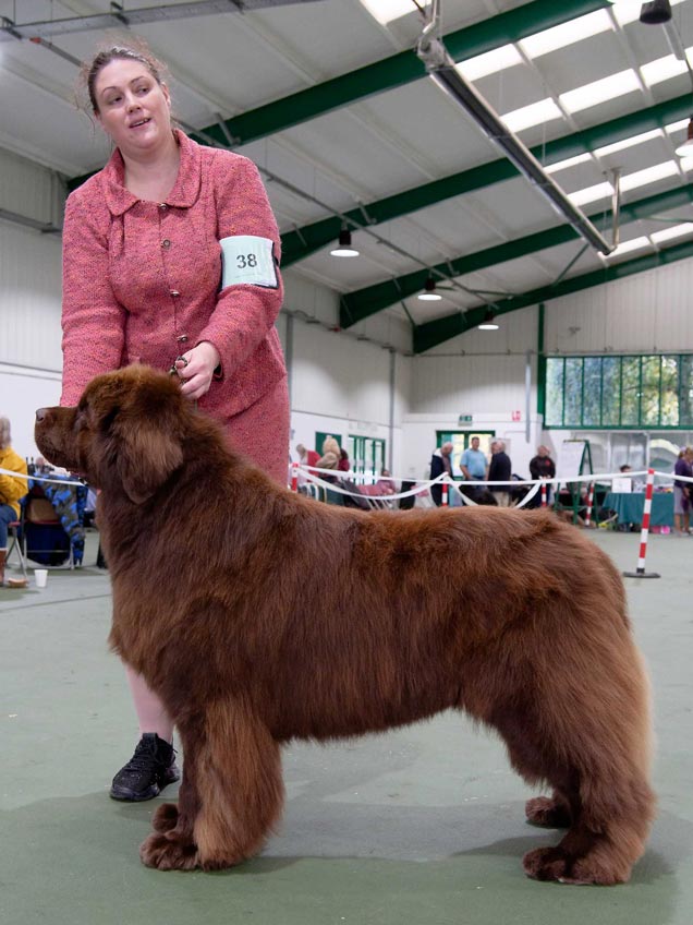 Best In Show winner, Zentaur Bout That Jam