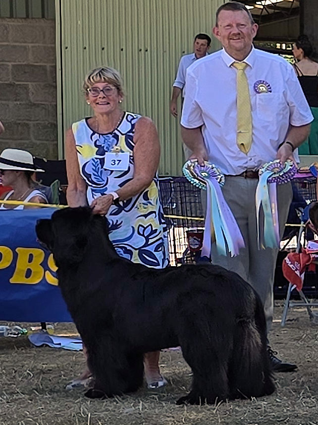 Best In Show winner, Mileoak Loch Noir, ShCEx
