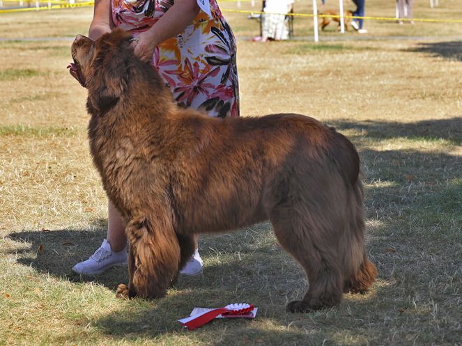 Winner of Graduate Bitch