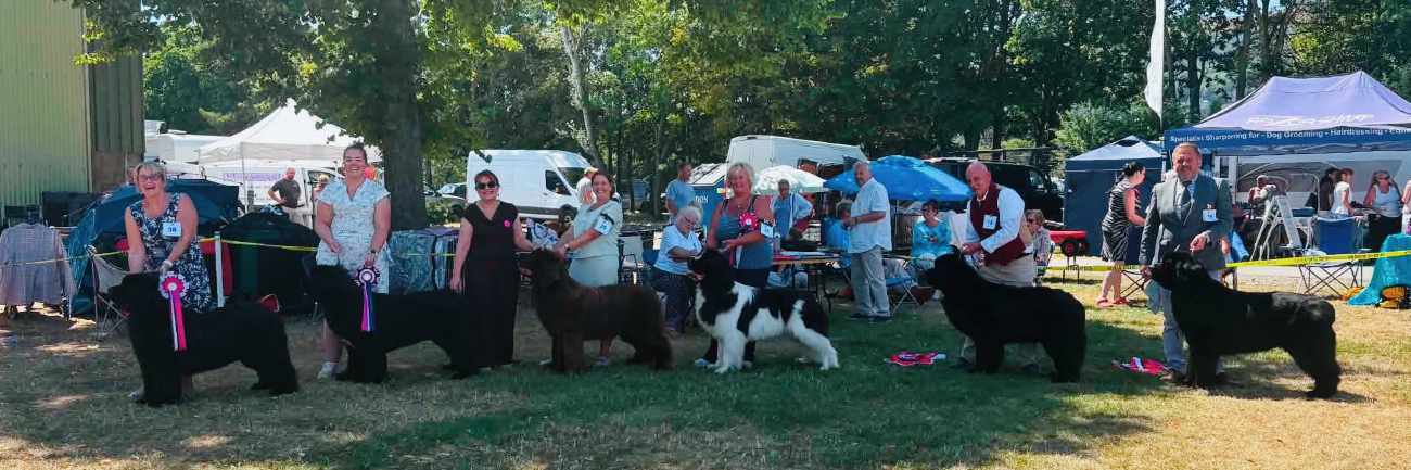 Main winners at the 11 July 2026 Newfoundland Club Open Show