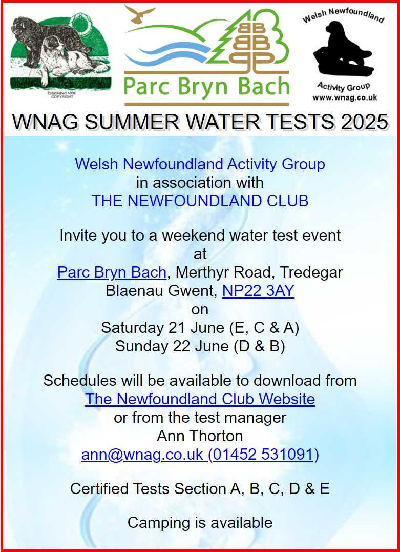 Bryn Bach poster